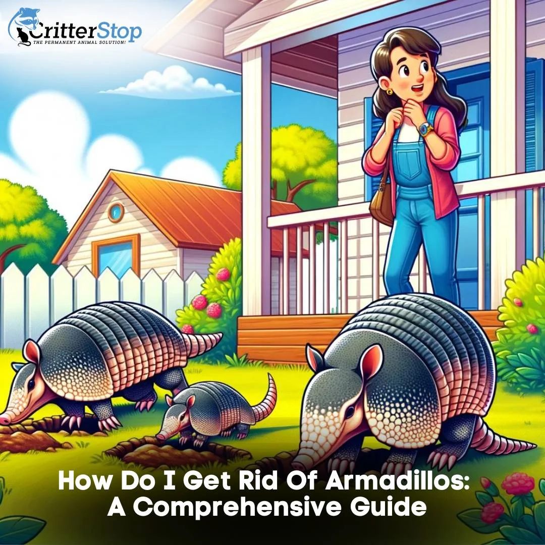 How Do I Get Rid Of Armadillos: A Comprehensive Guide