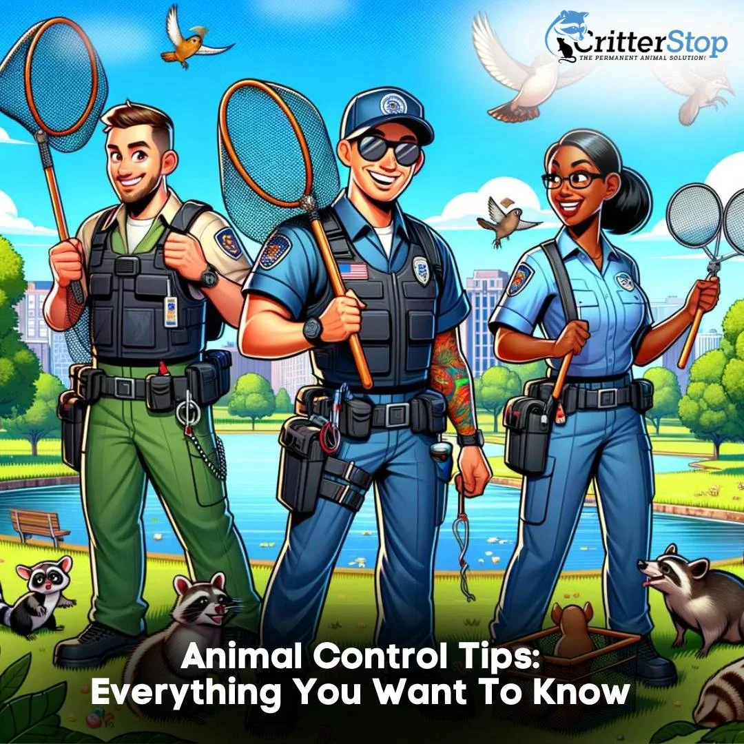 Animal Control Tips: Everything You Want To Know