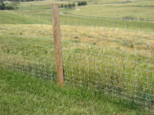 fence for wildlife