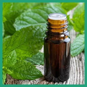 Peppermint oil