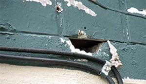 rat entry point