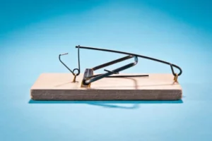 snap traps for mice