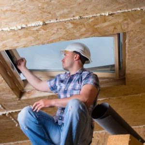 Attic Inspection