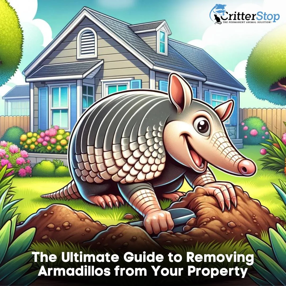 The Ultimate Guide to Removing Armadillos from Your Property