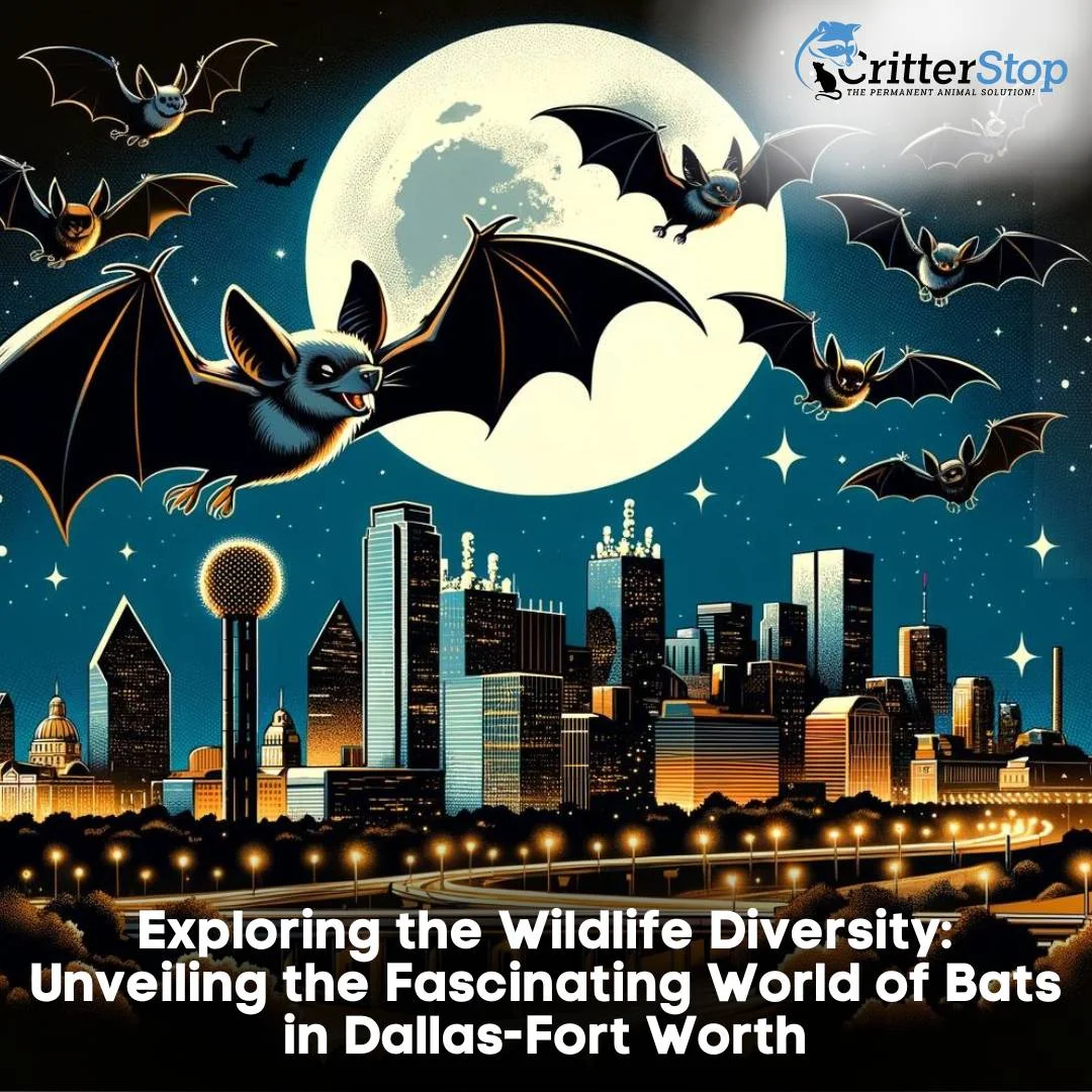 Exploring the Wildlife Diversity: Unveiling the Fascinating World of Bats in Dallas-Fort Worth