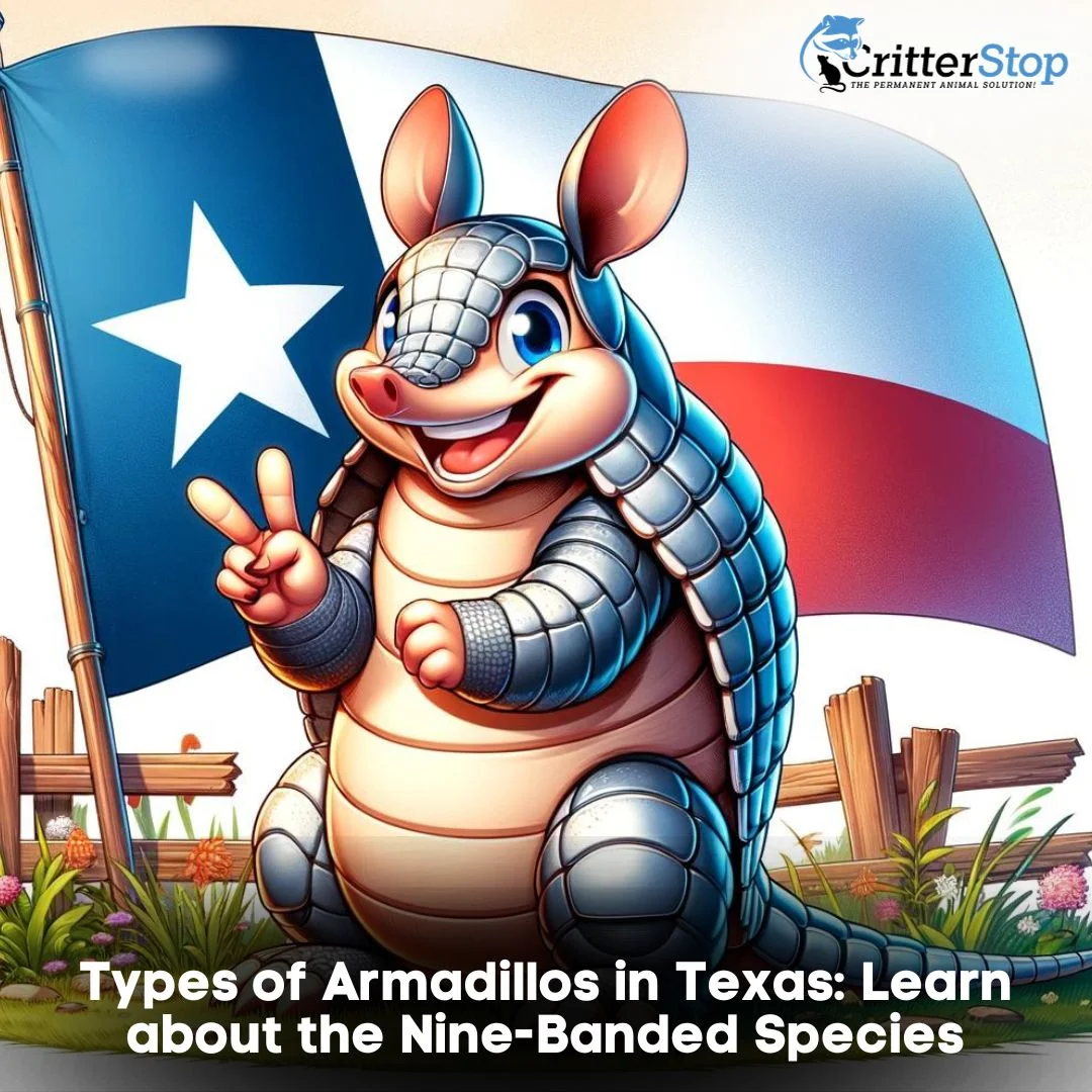 Type of Armadillos in Texas: Learn about the Nine-Banded Species