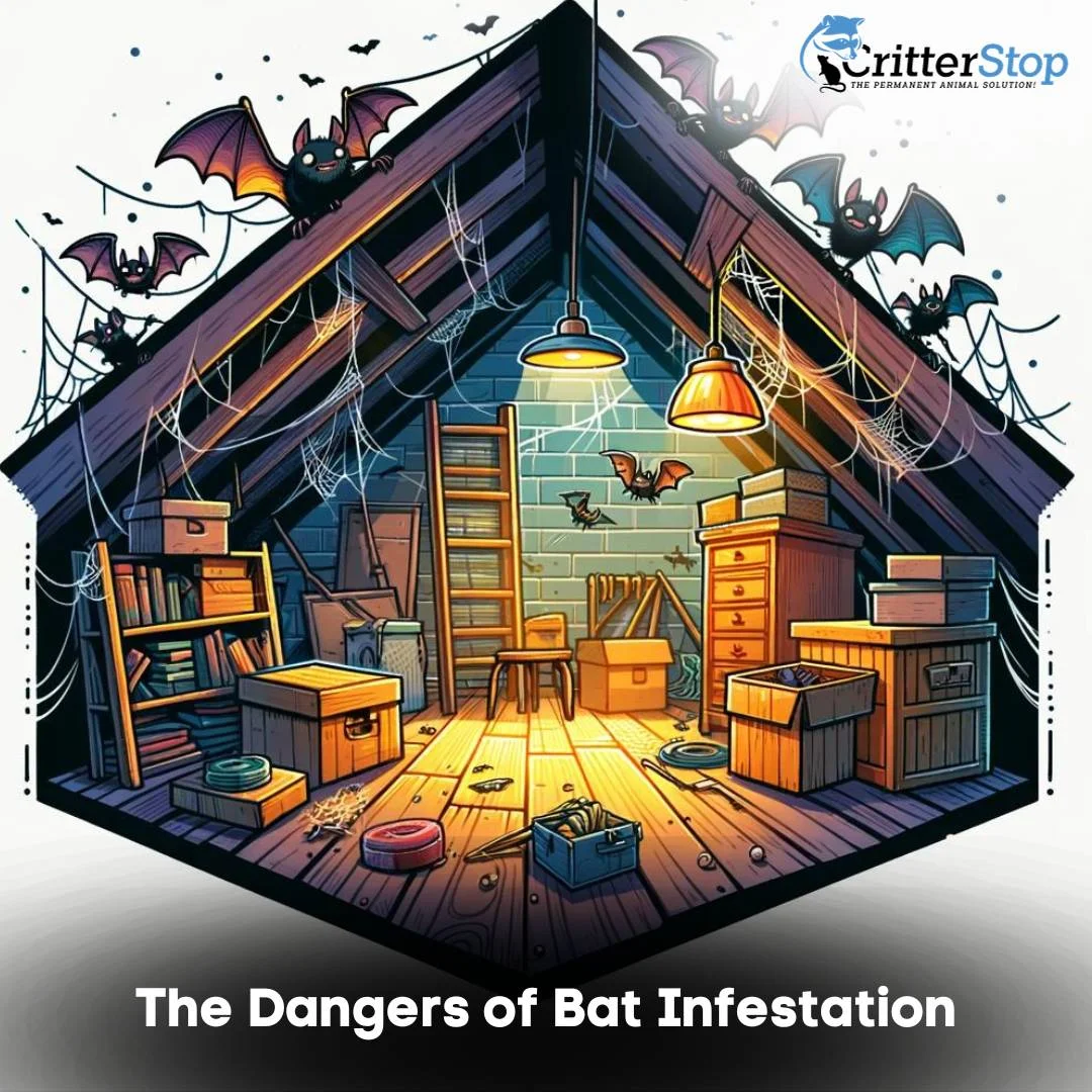 The Dangers of Bat Infestation