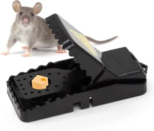 Rodent trap